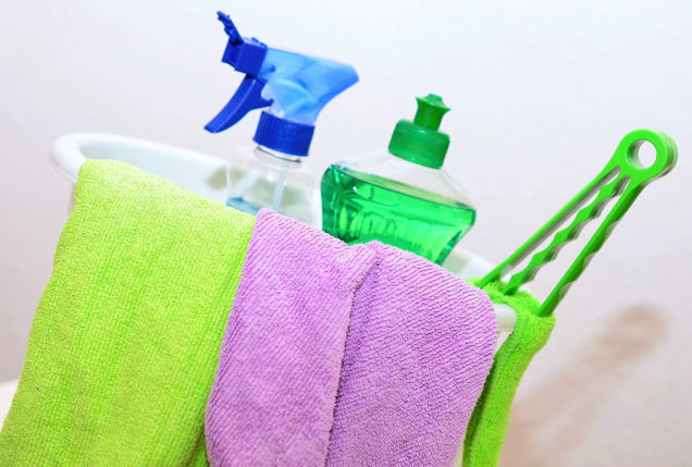 Domestic Cleaners in KZN