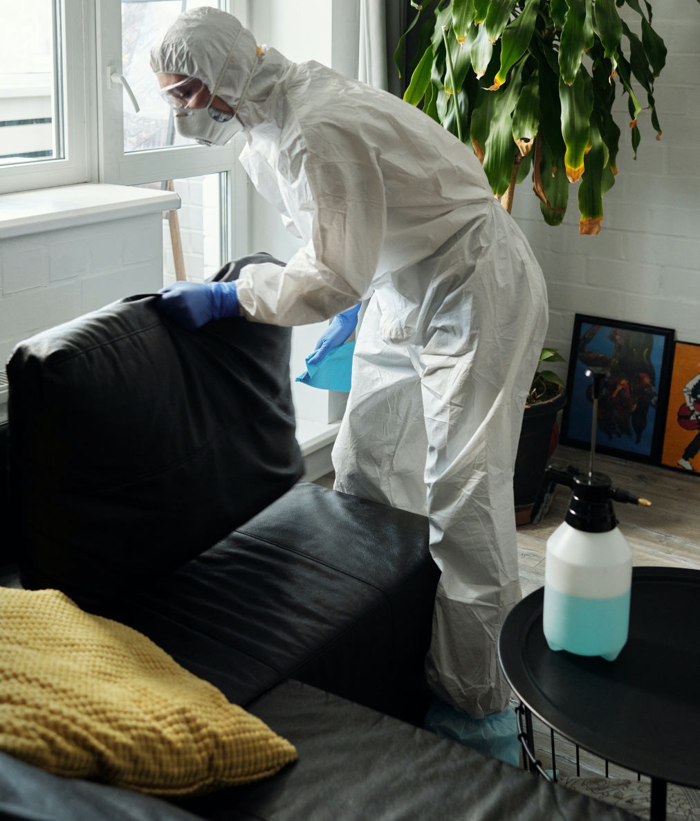 Upholstery and Carpet Cleaning